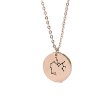 Load image into Gallery viewer, Necklaces Coin Zodiac Sign Necklace